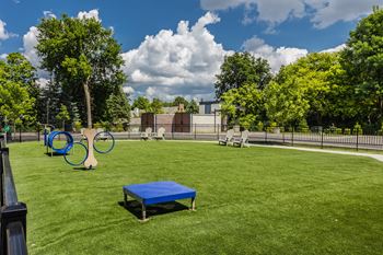 Pet playground with a blue mat and a swing set at Upper Vue Flats, Dublin, OH